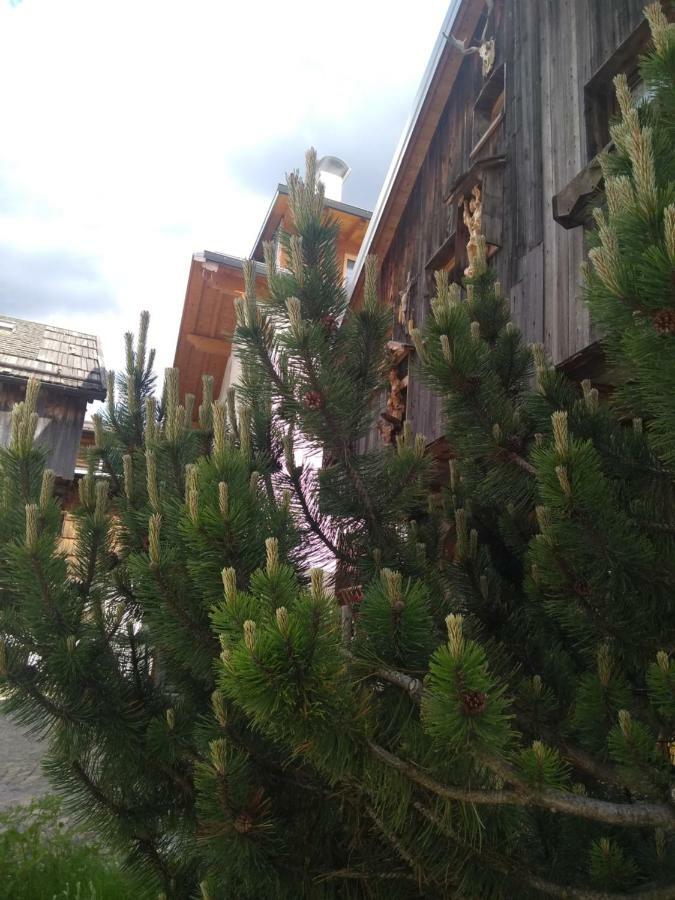Cianbolpin Guesthouse Canazei Exteriör bild