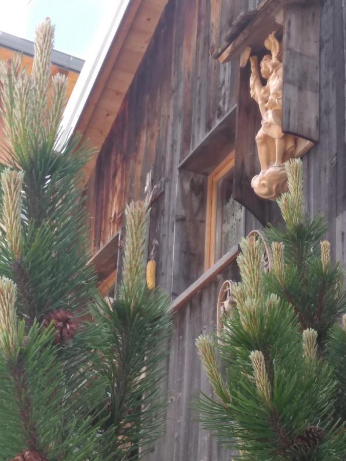 Cianbolpin Guesthouse Canazei Exteriör bild